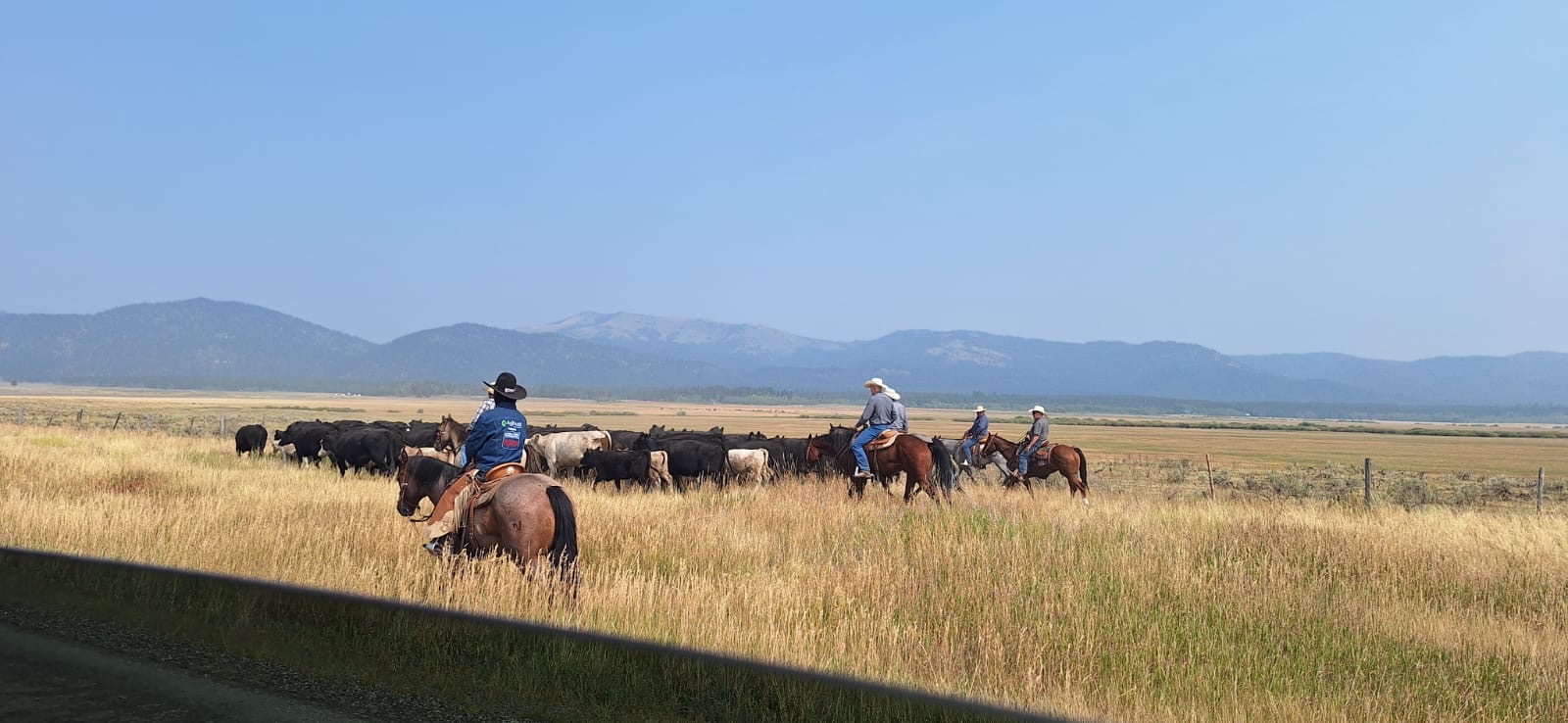 Yellowstone 4.jpeg